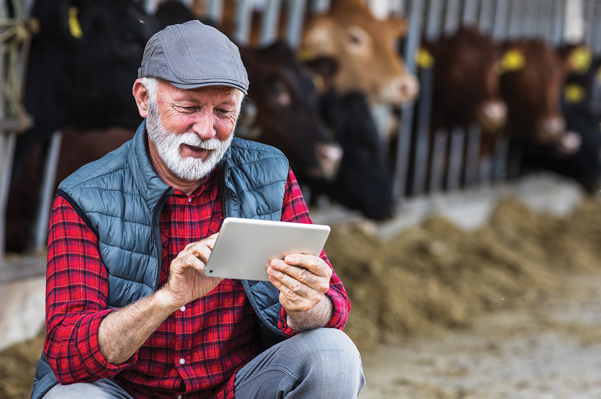 Beyond Pen and Paper: Herd Management with Software Solutions